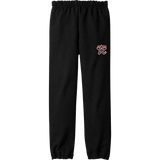 NY Stars Youth Heavy Blend Sweatpant