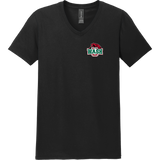 Wash U Softstyle V-Neck T-Shirt