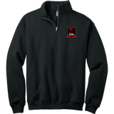 King Cobras NuBlend 1/4-Zip Cadet Collar Sweatshirt