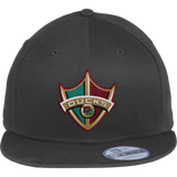 Delaware Ducks New Era Flat Bill Snapback Cap