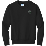 Lansing Spartans Youth Core Fleece Crewneck Sweatshirt